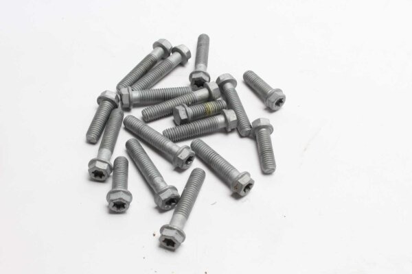 Voetsteunschroefset achter KTM universell -