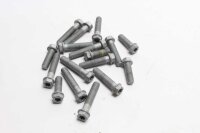 Voetsteunschroefset achter KTM universell -