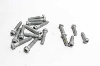 Voetsteunschroefset achter KTM universell -