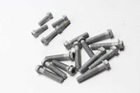 Voetsteunschroefset achter KTM universell -