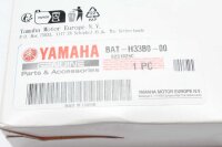 Conjunto de luces de marcha secuenciales de señal de giro izquierda y derecha Yamaha XSR 900 A 24-24