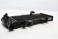 Vattenkylare kylflänsar radiator motorkylning BMW F 800 GS E8GS 0219 08-12