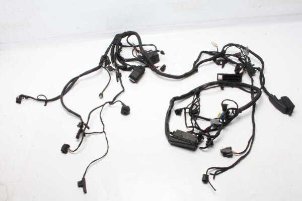 Cablaggio principale dellaccensione BMW F 800 GS E8GS 0219 08-12