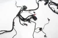 Cablaggio principale dellaccensione BMW F 800 GS E8GS 0219 08-12