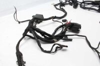 Cablaggio principale dellaccensione BMW F 800 GS E8GS 0219 08-12