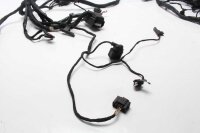 Cablaggio principale dellaccensione BMW F 800 GS E8GS 0219 08-12