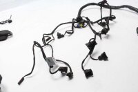 Cablaggio principale dellaccensione BMW F 800 GS E8GS 0219 08-12