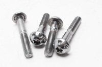 Ruuvisarja kehyksen listoille Triumph Thruxton 1200 RS Final Edition 24-24