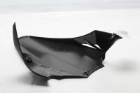 Spatbordbeschermer achterwielafdekking Ducati Panigale 955 V2 21-21