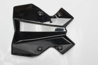 Windschild Abdeckung Windscheibe Frontverkleidung Kawasaki Z 900 20-20