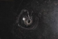 Windshield Windscreen Windscreen Windshield BMW F 650 GS R13 00-00