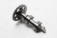 Arbre à cames Arbre de commande Pignon de commande Soupape dadmission BMW F 650 GS R13 00-00