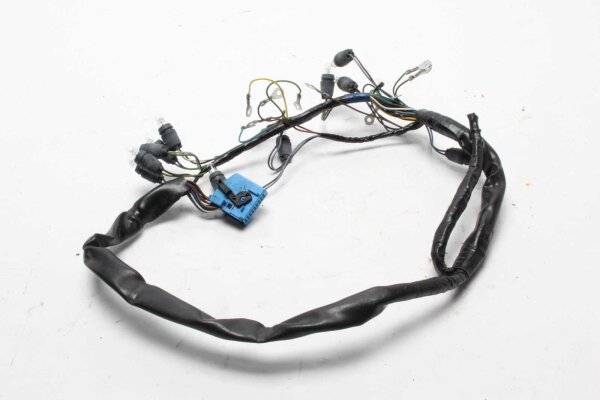 faisceau de câbles du poste de pilotage, câblage du poste de pilotage, compteur de vitesse BMW R 1100 S R11S 98-06