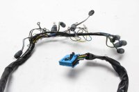 faisceau de câbles du poste de pilotage, câblage du poste de pilotage, compteur de vitesse BMW R 1100 S R11S 98-06