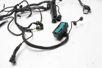 Johtosarja, ruiskutusjärjestelmä, ohjausyksikkö, sulake BMW R 1100 S R11S 98-06