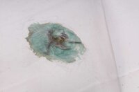 Forrude klar forrude kåbe forskærm BMW F 650 GS R13 00-03