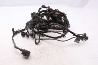 Johtosarja, pääjohtosarja, rele, sulake, liitin...