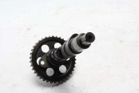 Camshaft, timing gear, drive, injection control BMW R 100...