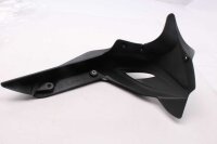 Jäähdyttimen suojaritilä, oikea kansi DX 84516 MV Agusta B4 Brutale 1090 RR 16-16