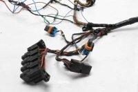 Cablaggio, cablaggio principale, impianto elettrico,...