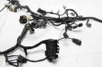 Huvudkablage, elektrisk kablage Kawasaki VERSYS 650 KLE650D LE650C 10-14