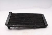 Refroidisseur deau, radiateur de refroidissement, refroidissement du moteur Honda Aprilia ETV 1000 Caponord PS 01-01