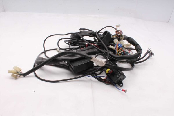Kabelbaum Hauptkabelstrang Elektrik Honda Aprilia ETV 1000 Caponord PS 01-01