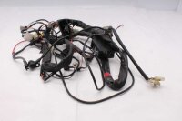 Kabelbaum Hauptkabelstrang Elektrik Honda Aprilia ETV 1000 Caponord PS 01-01