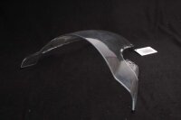 Tuulilasin kirkas lasikate BMW S 1000 RR Euro 4/5 K67...