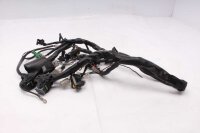 Kabelboom injectie hoofdleiding Honda Aprilia ETV 1000...