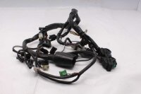 Kabelbaum Einspritzung Hauptleitung Honda Aprilia ETV 1000 Caponord PS 01-01