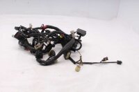 Cablaggio principale, cablaggio elettrico, connettori Ducati Monster 796 M796 10-16