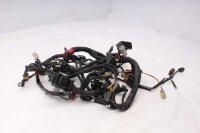 Cablaggio principale, cablaggio elettrico, connettori Ducati Monster 796 M796 10-16
