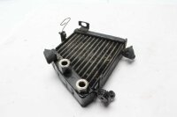 Ölkühler Kühlradiator Öltemperatur Kühler Motorkühlung Ducati 999 S 999S 03-04