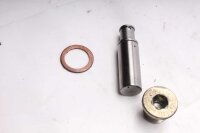 Steuerkettenspanner Steuerkette Spanner Honda Aprilia ETV...