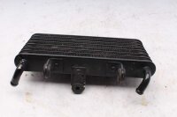 Oliekøler, olieskiftkøler, motorkøling Honda Aprilia ETV 1000 Caponord PS 01-01