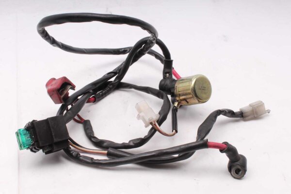 Anlasserrelais Kabelbaum Sicherung Honda Aprilia ETV 1000 Caponord PS 01-01