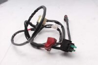 Anlasserrelais Kabelbaum Sicherung Honda Aprilia ETV 1000...