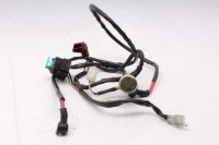 Anlasserrelais Kabelbaum Sicherung Honda Aprilia ETV 1000 Caponord PS 01-01