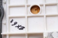 Matkustajan istuin, takaistuimen istuintyyny, matkustajan istuin Kawasaki ZX-6R Ninja ZX600P 07-08