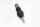 Coolant temperature sensor Honda XL 1000 V Varadero SD01 99-00