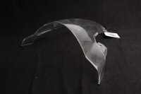 Tuulilasi, tuulilasi, kirkas, tuulilasi BMW S 1000 RR...