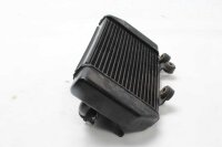 Wasserkühler links Kühler Motorkühlung Radiator Honda XL 700 Transalp ED13 08-12