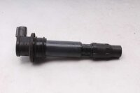 Tændspole, enkelt tændspole, plug-in...