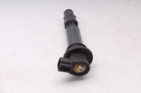 Tændspole, enkelt tændspole, plug-in...