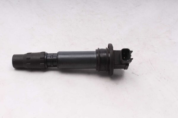 Tændspole, individuel tændspole, tændingssystem Triumph Tiger 1050 115NG 07-13