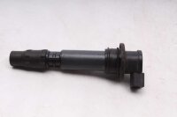 Tændspole, individuel tændspole, tændingssystem Triumph Tiger 1050 115NG 07-13