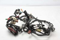 Kabelbaum Zündung Elektrik Hauptkabelstrang Honda XL...