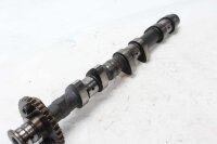 Arbre à cames, échappement, arbre de distribution, distribution Triumph Tiger 1050 115NG 07-13