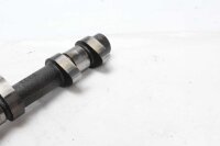 Arbre à cames, échappement, arbre de distribution, distribution Triumph Tiger 1050 115NG 07-13